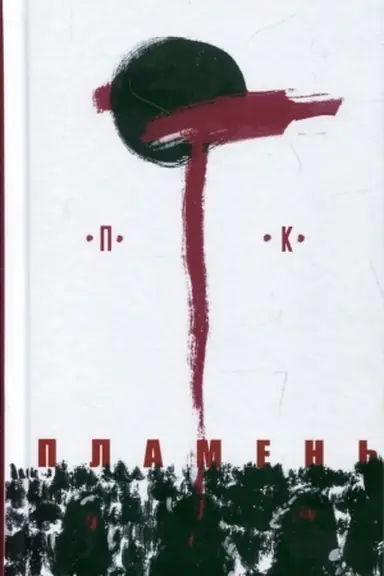 Cover: Plamen′. Kozhanoe nebo