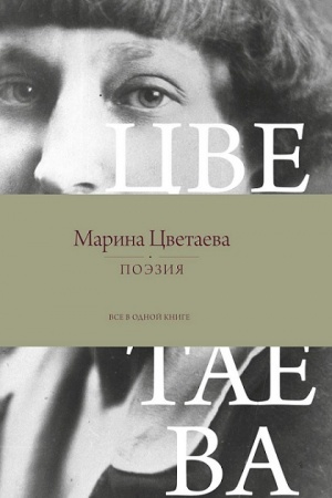 Обложка: Поэзия. Все в одной книге