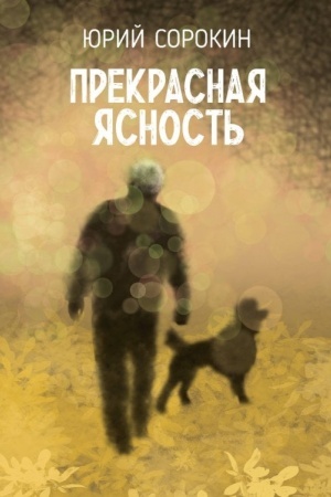 Buchcover: Prekrasnaja jasnost′