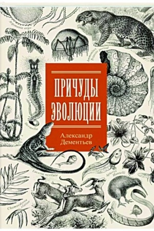 Обложка: Причуды эволюции