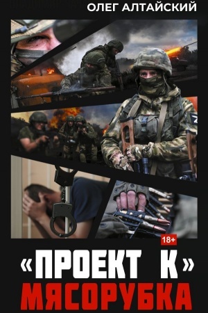 Buchcover: Proekt K»: mjasorubka