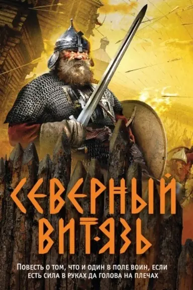 Buchcover: Severnyj vitjaz′
