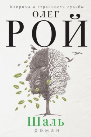 Buchcover: Šal′