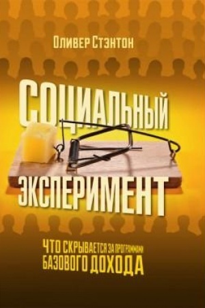 Cover: Social′nyj eksperiment. CHto skryvaetsya za programmami bazovogo dochoda