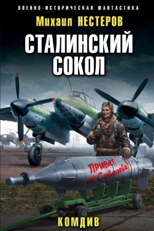 Buchcover: Stalinskij sokol. Komdiv