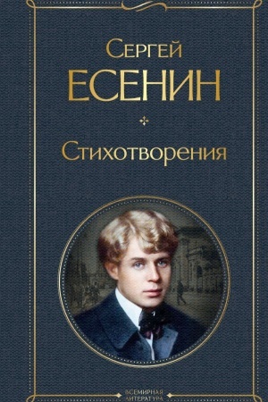 Buchcover: Stichotvorenija