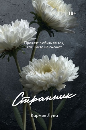 Обложка: Странник