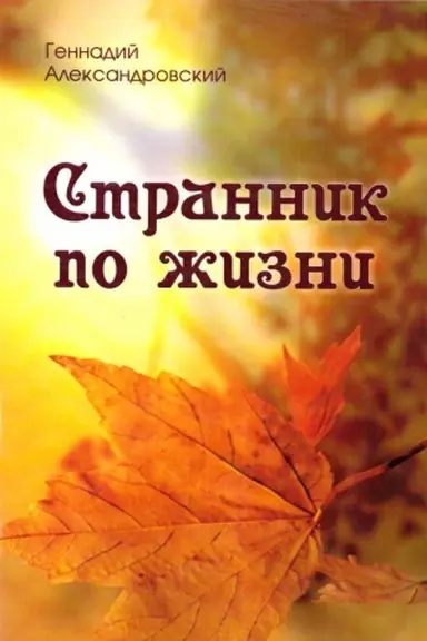 Обложка: Странник по жизни