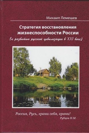Обложка: Стратегия восстановления жизнеспособности России (к развитию русской цивилизации в ХХI веке), 4-е изд.