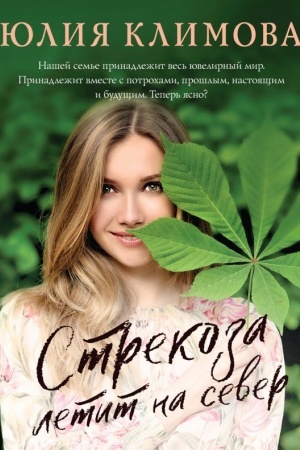 Обложка: Стрекоза летит на север