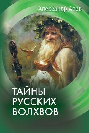 Cover: Tajny russkich volchvov