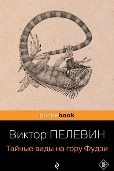 Cover: Tajnye vidy na goru Fudzi