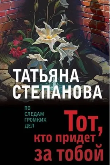 Обложка: Тот, кто придет за тобой