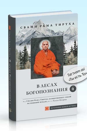 Cover: V lesach Bogopoznaniya. Tom 4