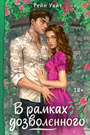 Buchcover: V ramkach dozvolennogo