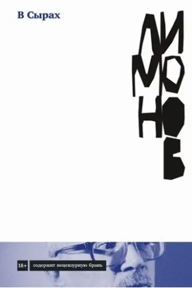 Buchcover: V Syrach: Roman v promzone