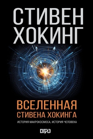 Buchcover: Vselennaja Stivena CHokinga