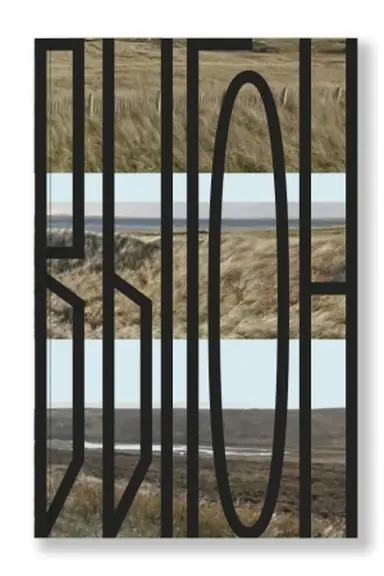 Buchcover: Vygon