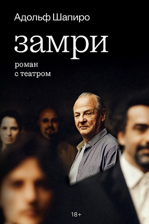 Buchcover: Zamri: roman s teatrom
