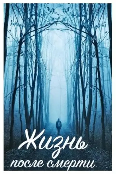 Buchcover: Žizn′ posle smerti Real′nye fakty i rasskazy očevidcev