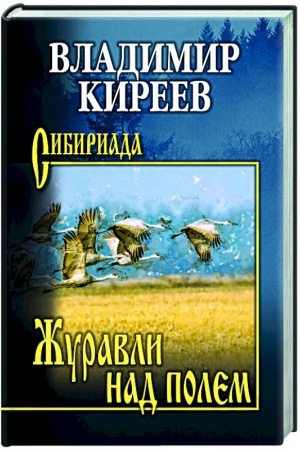 Buchcover: Žuravli nad polem