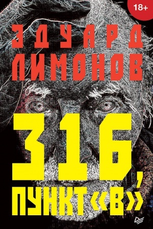 Buchcover: 316, punkt V