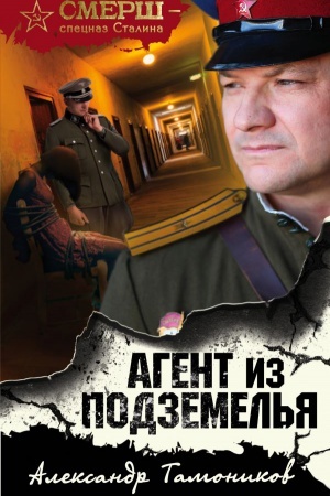 Обложка: Агент из подземелья