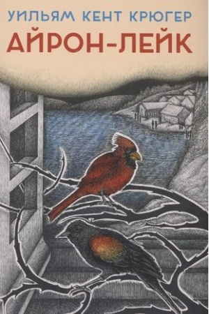Buchcover: Ajron-Lejk