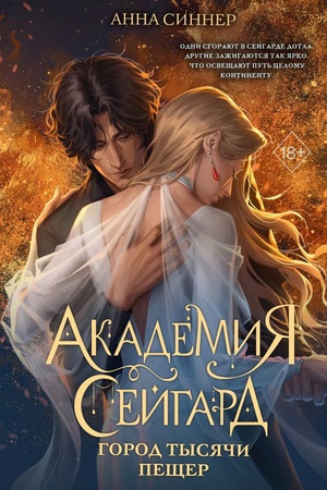 Обложка: Академия Сейгард. Город тысячи пещер