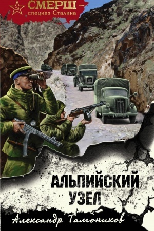 Cover: Al′pijskij uzel