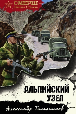 Buchcover: Al′pijskij uzel