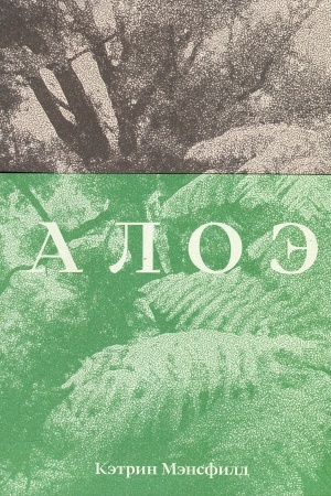 Cover: Aloe