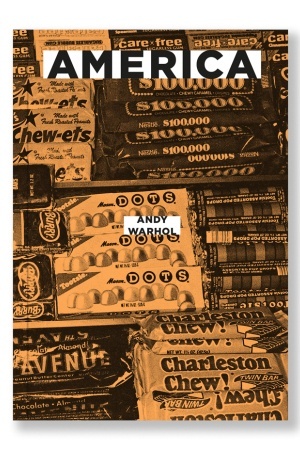 Buchcover: Amerika