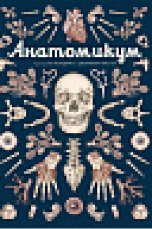 Cover: Anatomikum