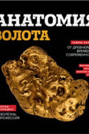 Buchcover: Anatomija zolota