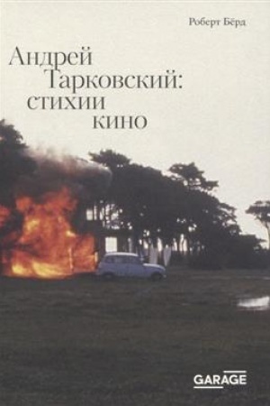Cover: Andrej Tarkovskij: stichii kino
