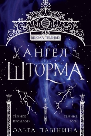 Cover: Angel shtorma