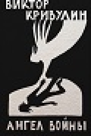 Buchcover: Angel vojny