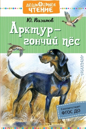 Обложка: Арктур - гончий пес