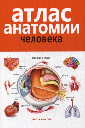 Cover: Atlas anatomii cheloveka