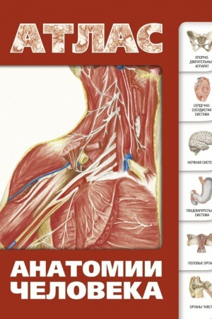 Buchcover: Atlas anatomii čeloveka