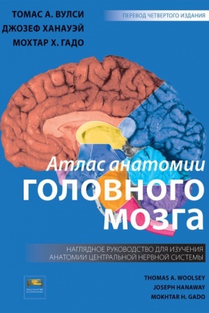 Buchcover: Atlas anatomii golovnogo mozga. Nagljadnoe rukovodstvo dlja izučenija anatomii CNS