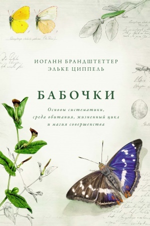 Buchcover: Babočki. Osnovy sistematiki, sreda obitanija, žiznennyj cikl i magija soveršenstva