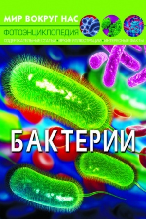 Cover: Bakterii