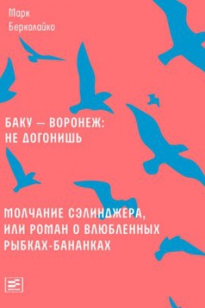 Обложка: Баку — Воронеж: не догонишь