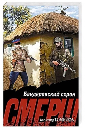 Buchcover: Banderovskij schron