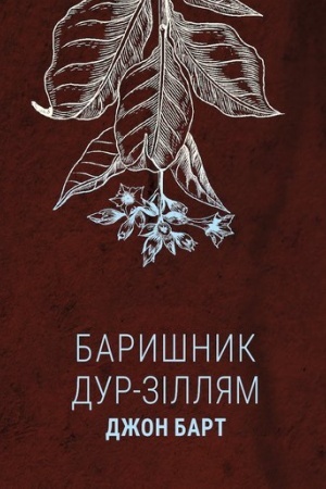 Cover: Baryshnyk dur-zillyam
