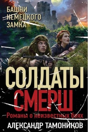 Buchcover: Bašni nemeckogo zamka
