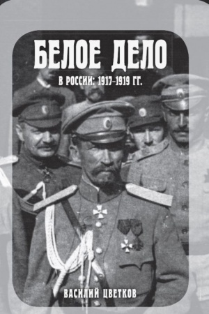 Buchcover: Beloe delo v Rossii: 1917-1919