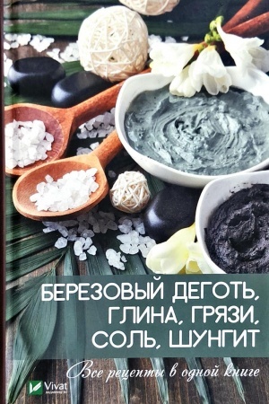 Cover: Berezovyj degot′ glina gryazi sol′ shungit Vse recepty v odnoj knige